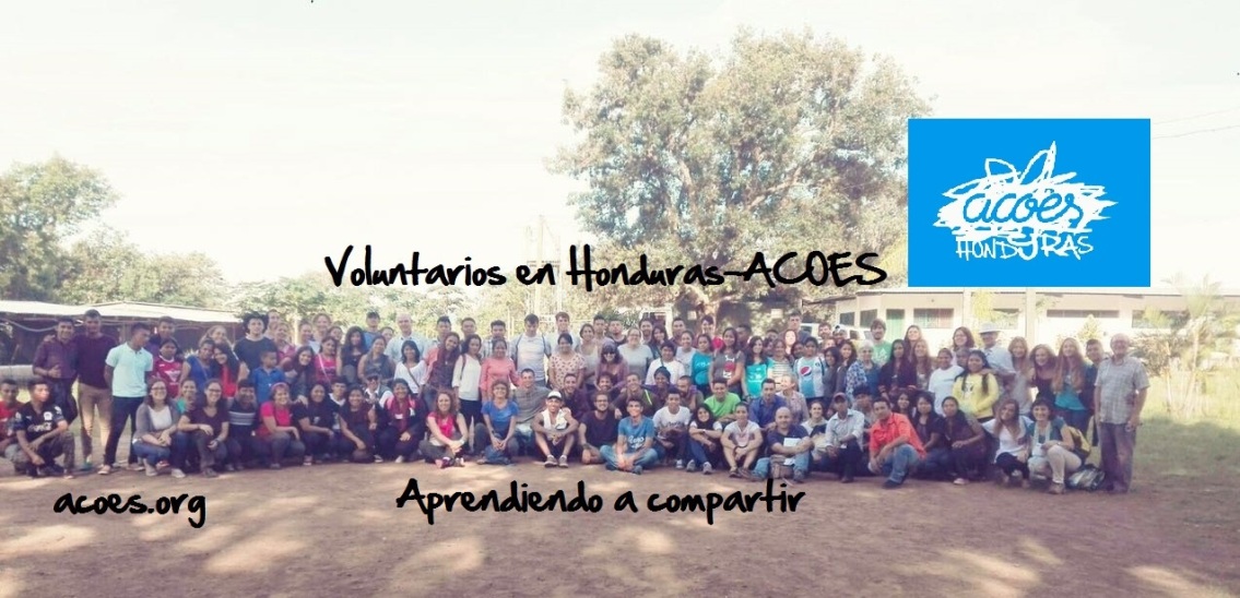 VOLUNTARIOS1 2017