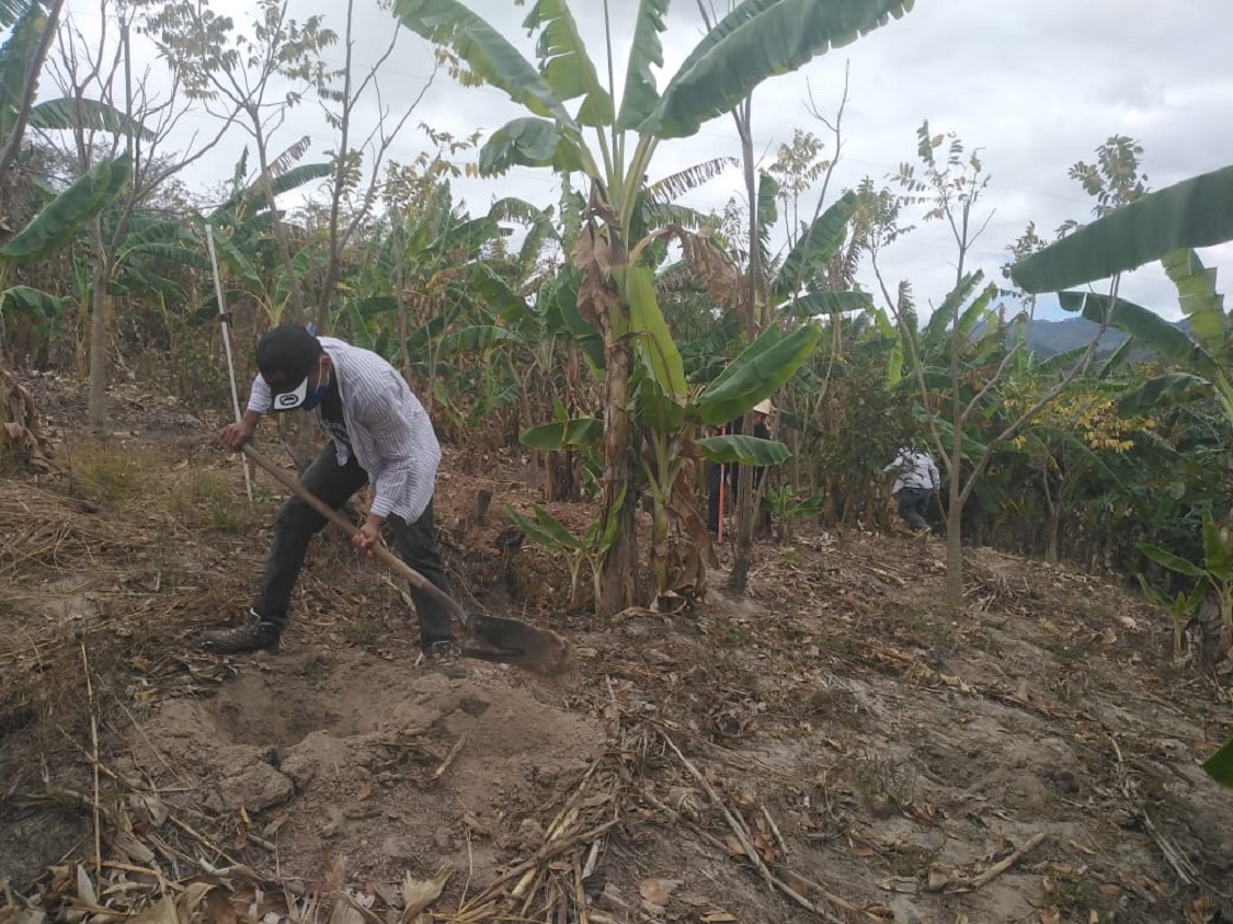 PRODUCTIVIDAD DIVINA PROVIDENCIA